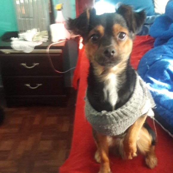 Profile Picture of Juan Jimenez (@juanjimenez656) on Poshmark