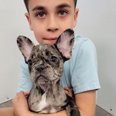 Profile Picture of Andrew Moeller (@andrew.moeller4) on Tiktok