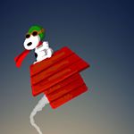 Miranda McCue - Instagram Profile Picture of Miranda McCue (@miranda.mccue) on Instagram