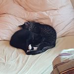 Profile Picture of Michelle Kierdorf (@clipperandpuma) on Instagram