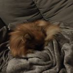 Profile Picture of Justin Picard (@dz_lay0s) on Instagram