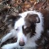 Profile Picture of Kevin Atherton (@atherton2375) on Pinterest
