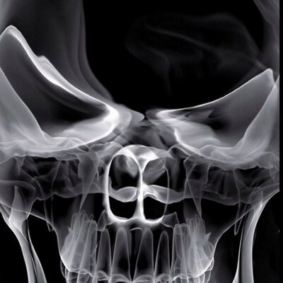 Profile Picture of Matteo Scott (@matteoscott81) on Twitter