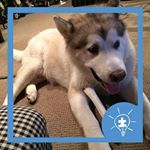 Profile Picture of Nancy Kaminski (@nancy.kaminski.796) on Instagram