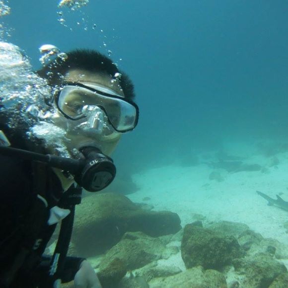 Profile Picture of James Yuan (@jyuan06) on Poshmark