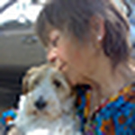 rosa bianca - Flickr Profile Picture of rosa bianca (@rosabianca2010) on Flickr