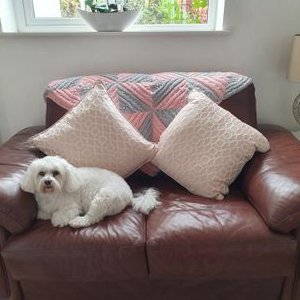 Profile Picture of Amanda Ison (@AmandaIson6) on Twitter