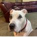 Profile Picture of Debbie Pardue (@Debbie-Pardue) on Facebook