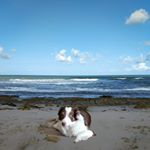 Profile Picture of Danny Irving (@dannyirving56) on Instagram