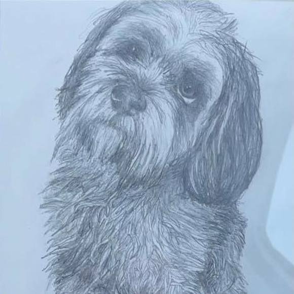 Profile Picture of Matt Katusky (@mtkatusky) on Poshmark