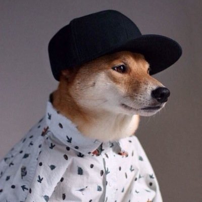 Profile Picture of Mike Stogsdill (@ChiIIMikey) on Twitter