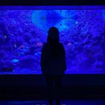 hsieh__lucy - Instagram Profile Picture of hsieh__lucy (@hsieh__lucy) on Instagram