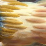 Profile Picture of Joe Wille (@joe.wille) on Instagram