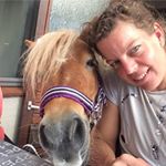 Profile Picture of 🇳🇱 Menteam van Hattum (@sunshine_minihorses) on Instagram