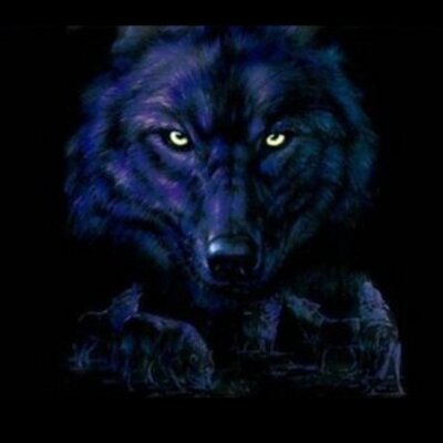 Profile Picture of Bailey Haskell (@HaskellBailey) on Twitter