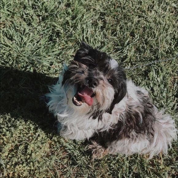 Profile Picture of Emme Errington (@emme_e125) on Poshmark