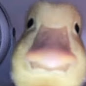 Profile Picture of Felipe Nevarez Gómez (@felipenevarezgomez8185) on Youtube