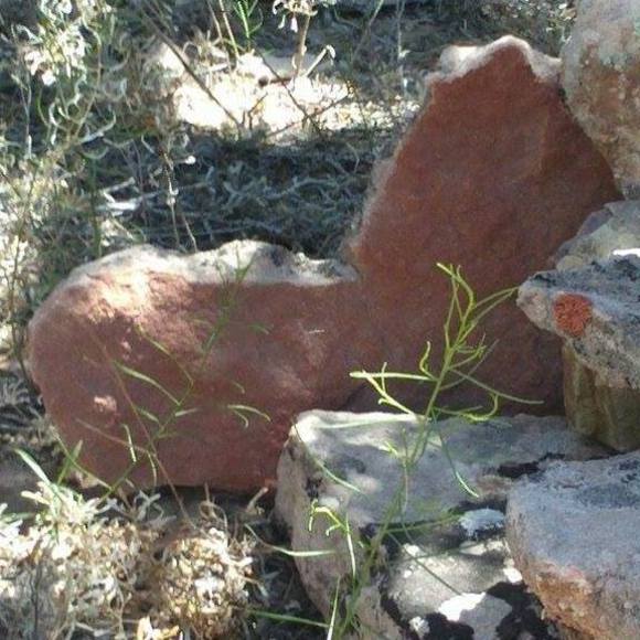 Profile Picture of Marilyn Carpenter (@bluemtns2c) on Poshmark