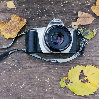 Profile Picture of Natalia Kravchenok (@kra_savchenko) on Twitter