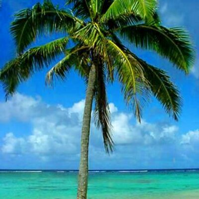 Profile Picture of William Robison (@trvlpersonality) on Twitter