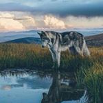 Profile Picture of Paul Mowery (@paul.mowery.5) on Instagram