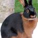 Profile Picture of Stephanie Claar (@stephweight08) on Pinterest