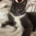 Profile Picture of Beth Calvin (@bethcalvin75) on Instagram