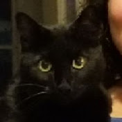 Profile Picture of Leigh Clapp (@leighclapp4298) on Youtube