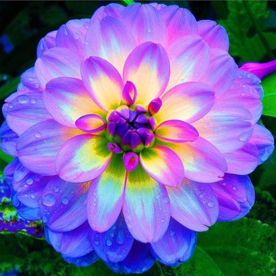 Profile Picture of CadyWilson (@CadDwilson) on Twitter