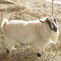 Profile Picture of Ted Conway (@ted-conway-4) on Quora
