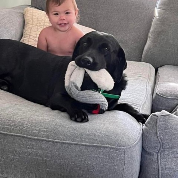 Profile Picture of Kyle Bigness (@bigness_1985) on Poshmark