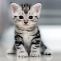 Profile Picture of Lacey Stackhouse (@lacey-stackhouse-1) on Quora