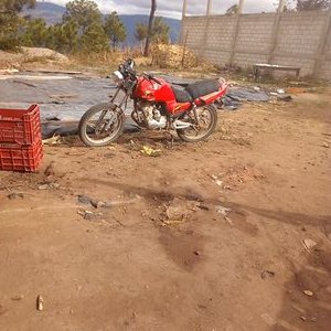 Profile Picture of TIMOTEO CALI PEREZ (@CaliTimoteo) on Twitter