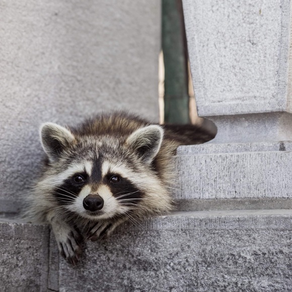 Profile Picture of ! joe Weisgerber ! (@j_weisgerber) on Poshmark