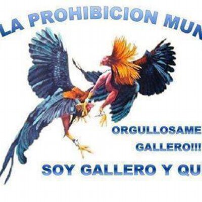 Profile Picture of Gustavo Cantu (@gustavocantu7) on Twitter