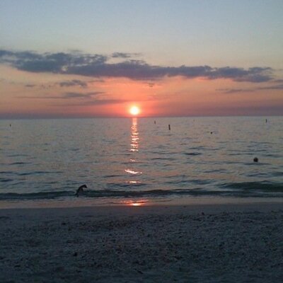 Profile Picture of Jo Ellen Kluchar (@joellenk1) on Twitter