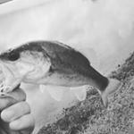 Profile Picture of Robert Stennett (@robertstennett5955) on Instagram