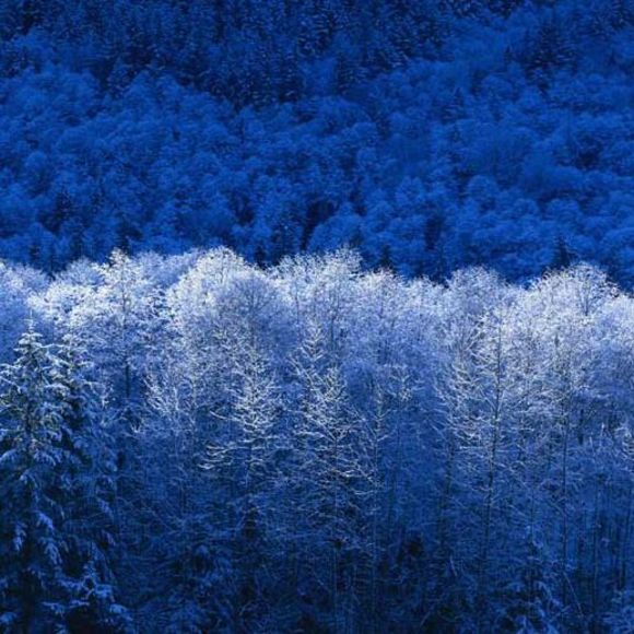 Profile Picture of Kevin Lin (@sonykevin89) on Poshmark