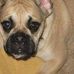 Profile Picture of Bailey Button McGonigal (@baileybutton.mcgonigal) on Facebook