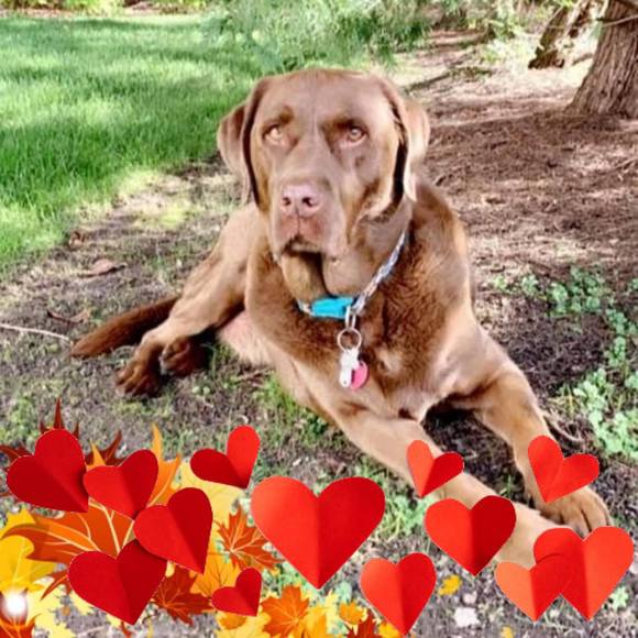 Profile Picture of Geanne Bletsas-solomita (@geannesolomita) on Poshmark