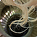 Profile Picture of Filippa Schade (@filippa schade) on Flickr