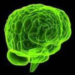 Profile Picture of Rob Jager (@WorkspaceKnwldg) on Twitter