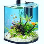 Profile Picture of David Ebnet (@landwirtschaft_hd__aqurium___) on Instagram