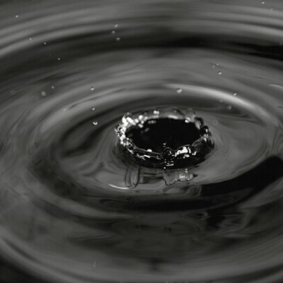 Profile Picture of Alexander Savransky (@@ASnkb) on Twitter