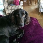 Profile Picture of Janet Broadhurst (@janet.broadhurst) on Instagram