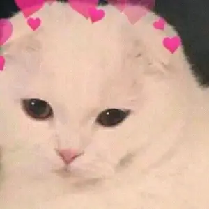 Profile Picture of meow (@koechingg) on Tiktok