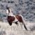 Profile Picture of Brad Teiwingaro Wihongi (@bradteiwingaro.wihongi.1) on Facebook