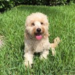 Profile Picture of Eugene Fitzgerald (@e.bustaa) on Instagram