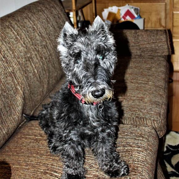 Ellen Yerxa - Poshmark Profile Picture of Ellen Yerxa (@eyerxa) on Poshmark