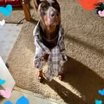 Profile Picture of Michelle Provencher (@michelle.provencher.716) on Facebook